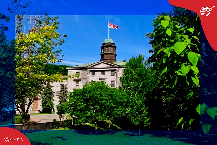 دانشگاه تورنتو